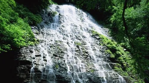 工业数字化工业